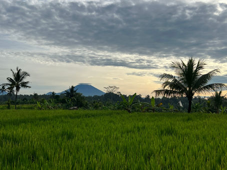 ¿Cuál es la mejor época para viajar a Bali?