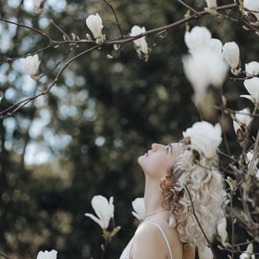 Magnolienblüten-Shooting in Zittau
