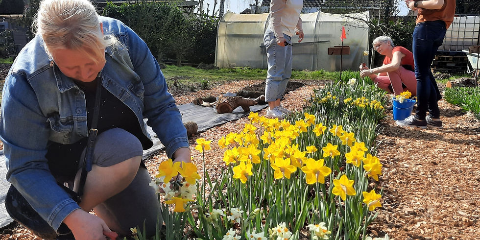 startmoment CSA-abonnees 