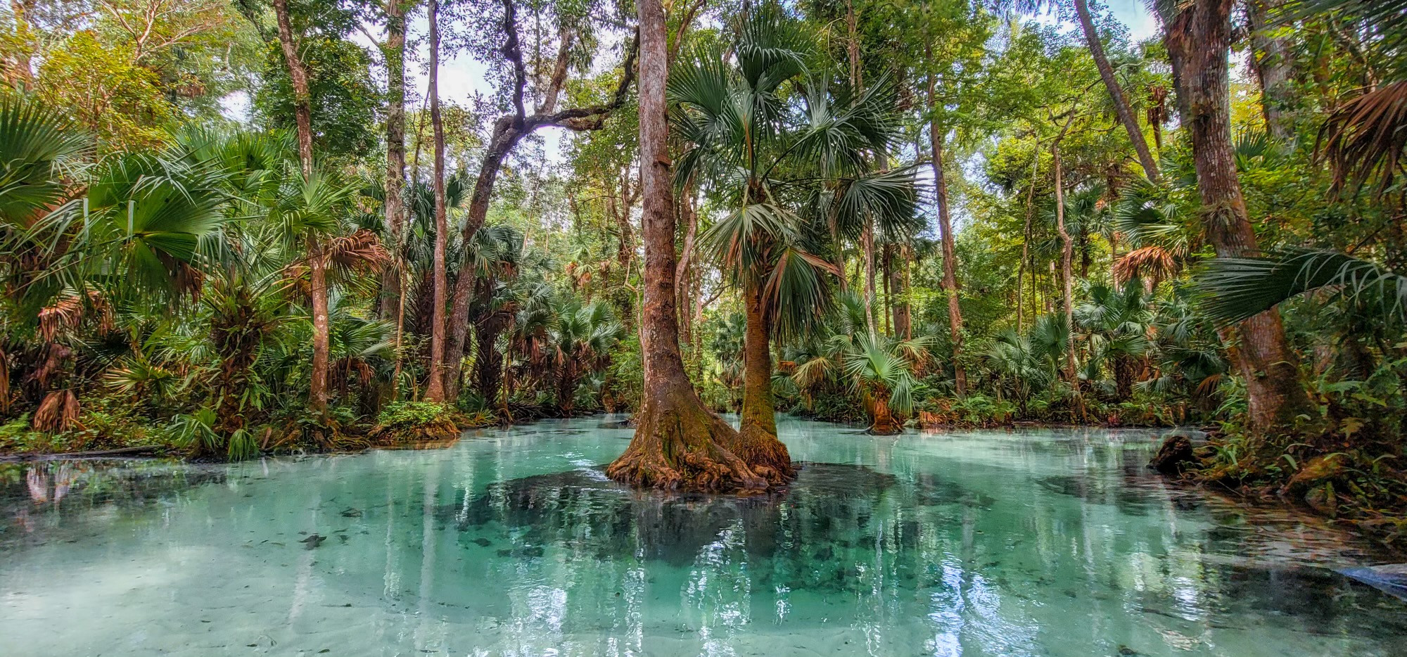 Kayak Rentals Rock Springs | King's Landing | Apopka, FL