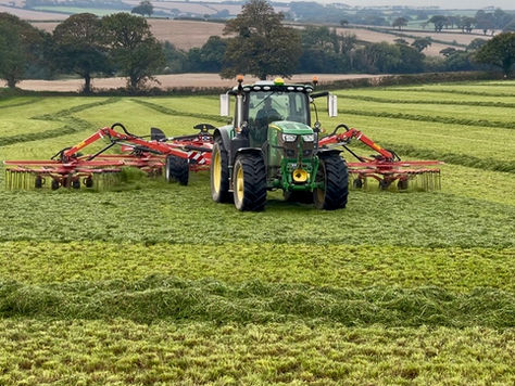 The Cows Tale - October update.