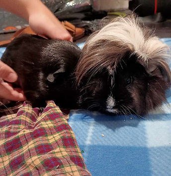 419975131_936901914199547_7018170575584640972_n (1).jpeg