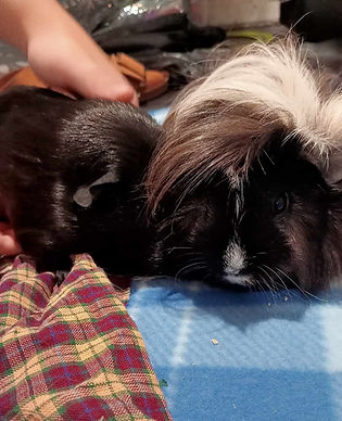 419975131_936901914199547_7018170575584640972_n (1)_edited.jpg