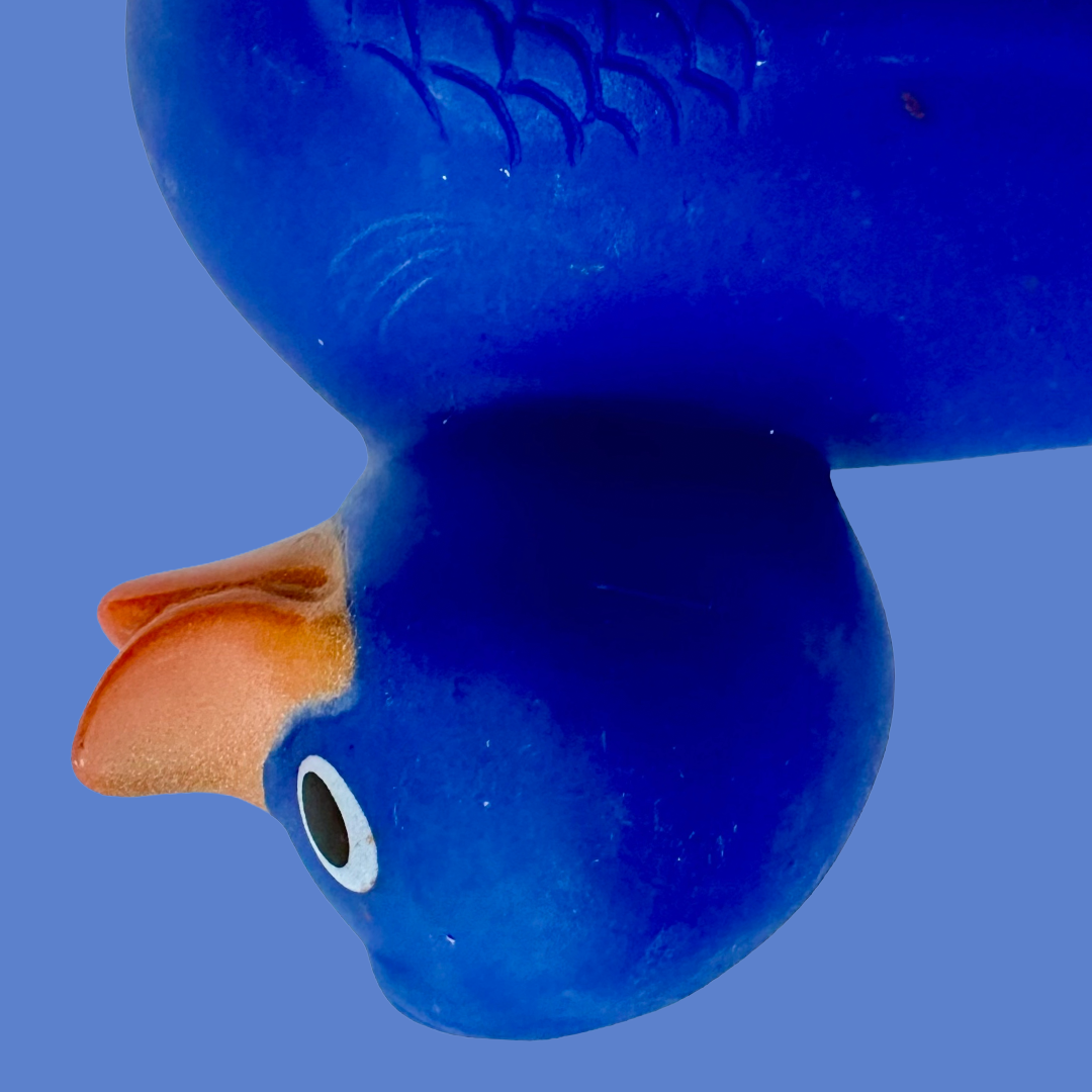 Navy Duck 001