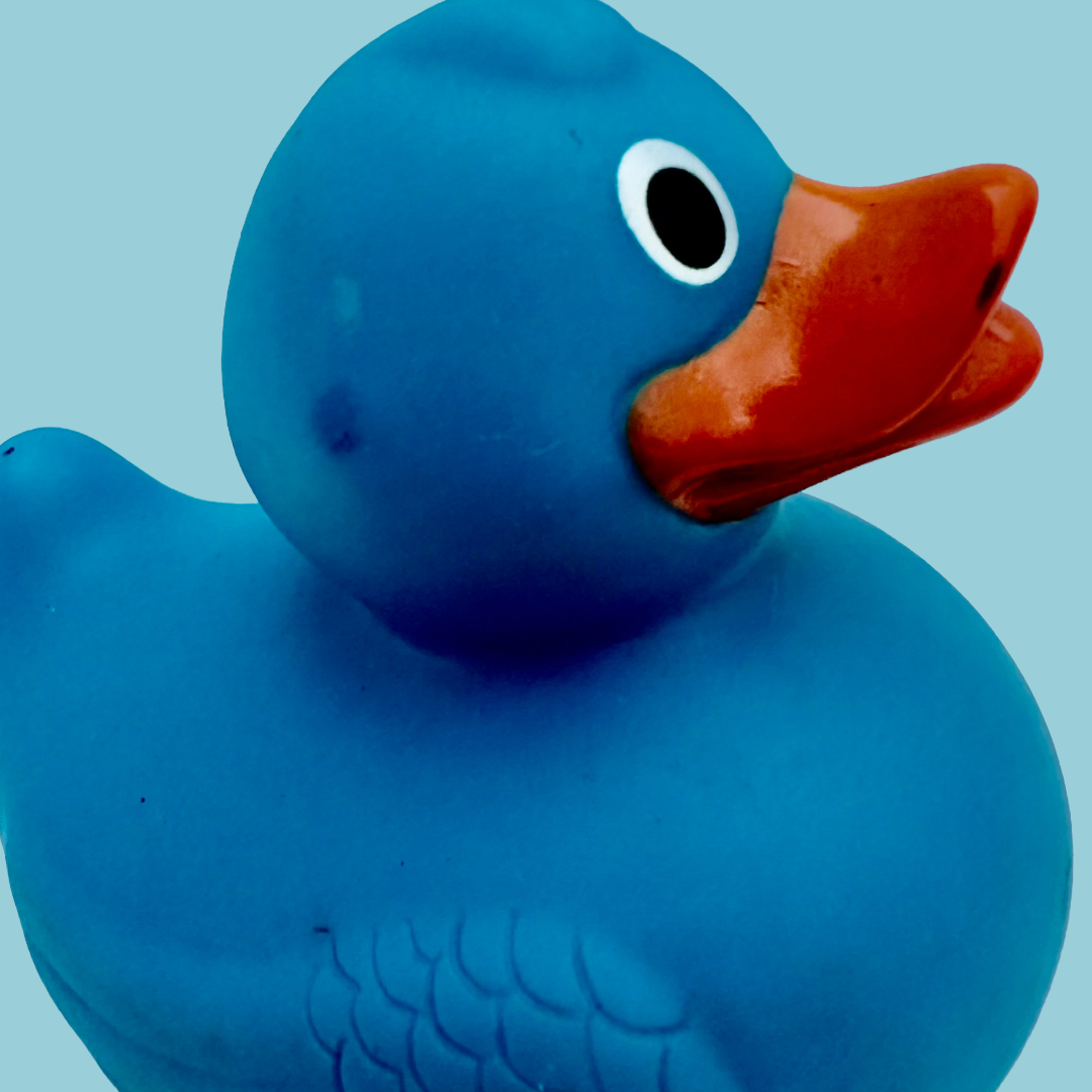 Light Blue Duck 040