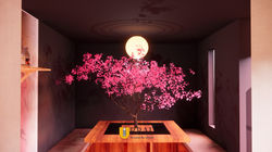 Arbol de cerezo
