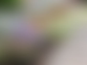 お庭を楽しむ暮らし