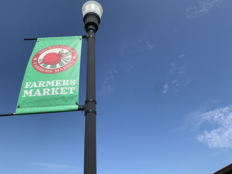 Late Summer Saturday at the Smyrna Depot Farmers Market