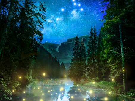 Clear Skies VA Starry Forest Clearing