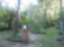 P1150099 flip.jpg