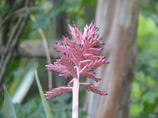 WhatsApp Image 2023-01-30 at 17.49.01.jpeg