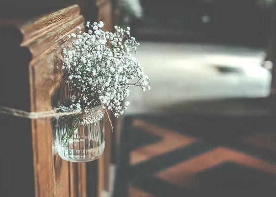 Weisse Blume an Kirchenbank