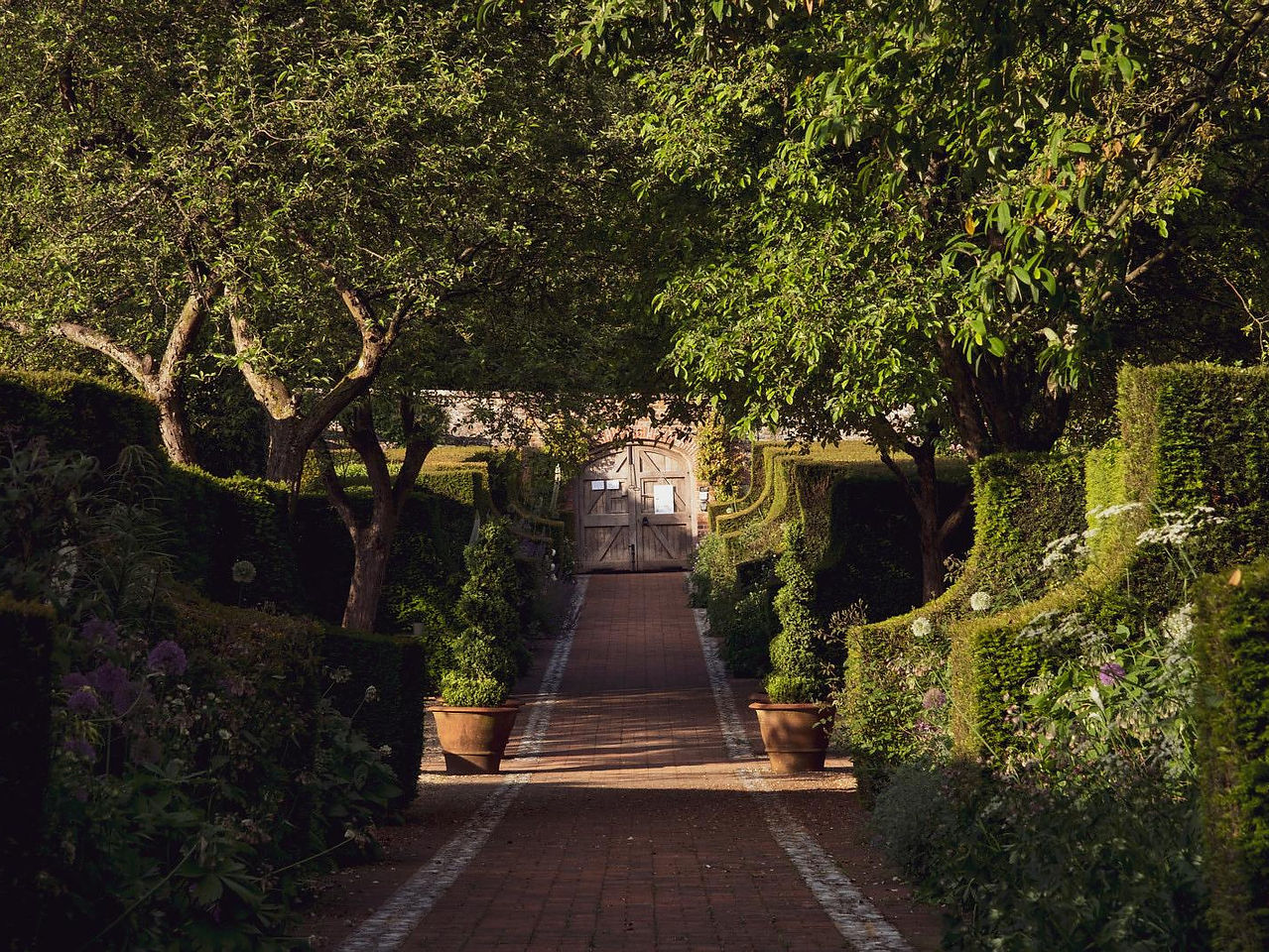 Wormsley Estate drive way shrouded with trees