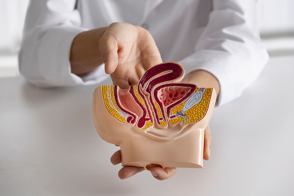 doctor-alto-angulo-explicando-anatomia.jpg