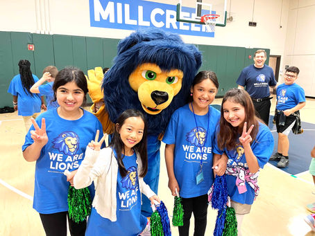 The Importance of School Mascots: Adding Flair to Campus Life