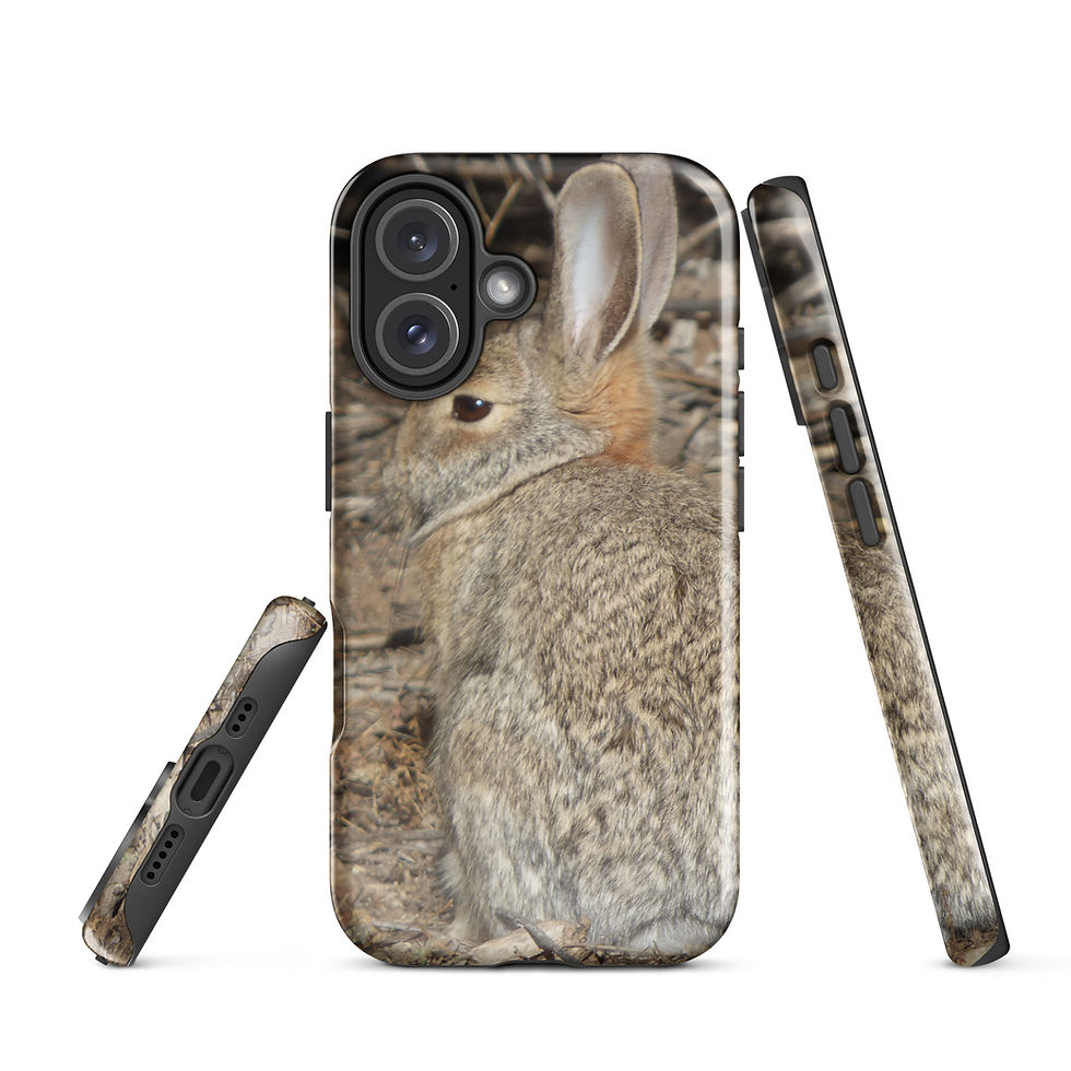 Thumbnail: Desert Cottontail Tough Case for iPhone®