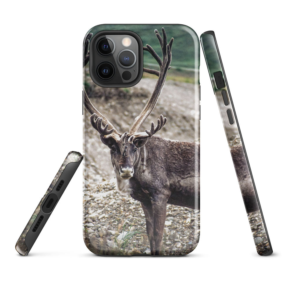 Thumbnail: Caribou Tough Case for iPhone®