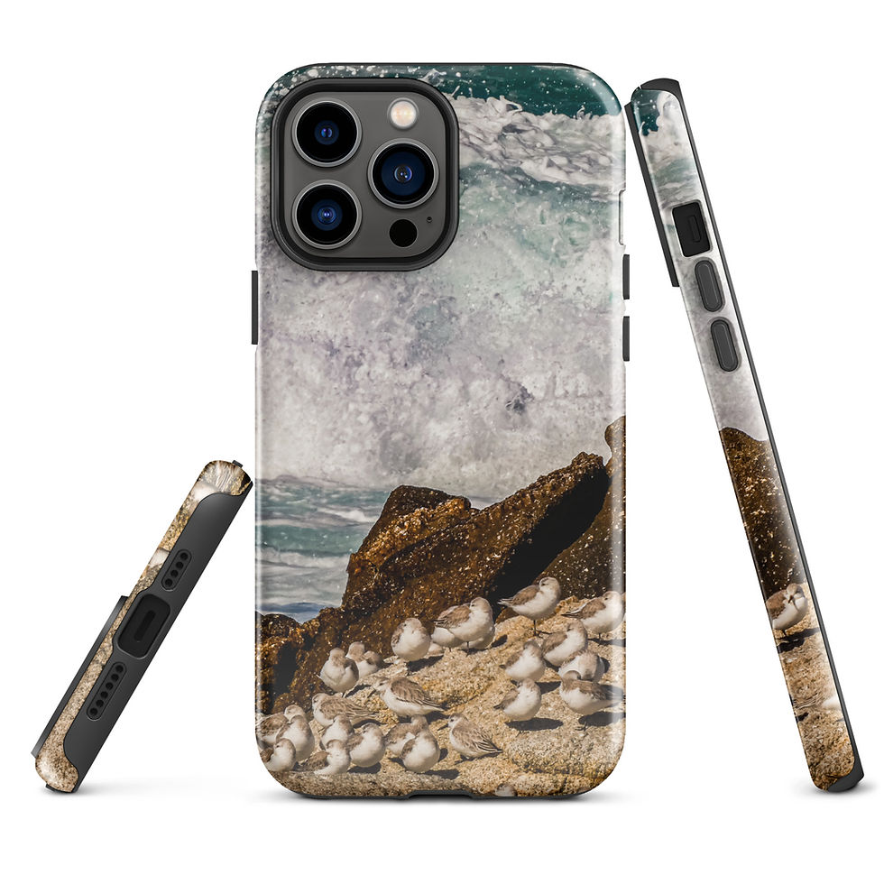 Thumbnail: Sandpipers by the Surf Tough Case for iPhone®