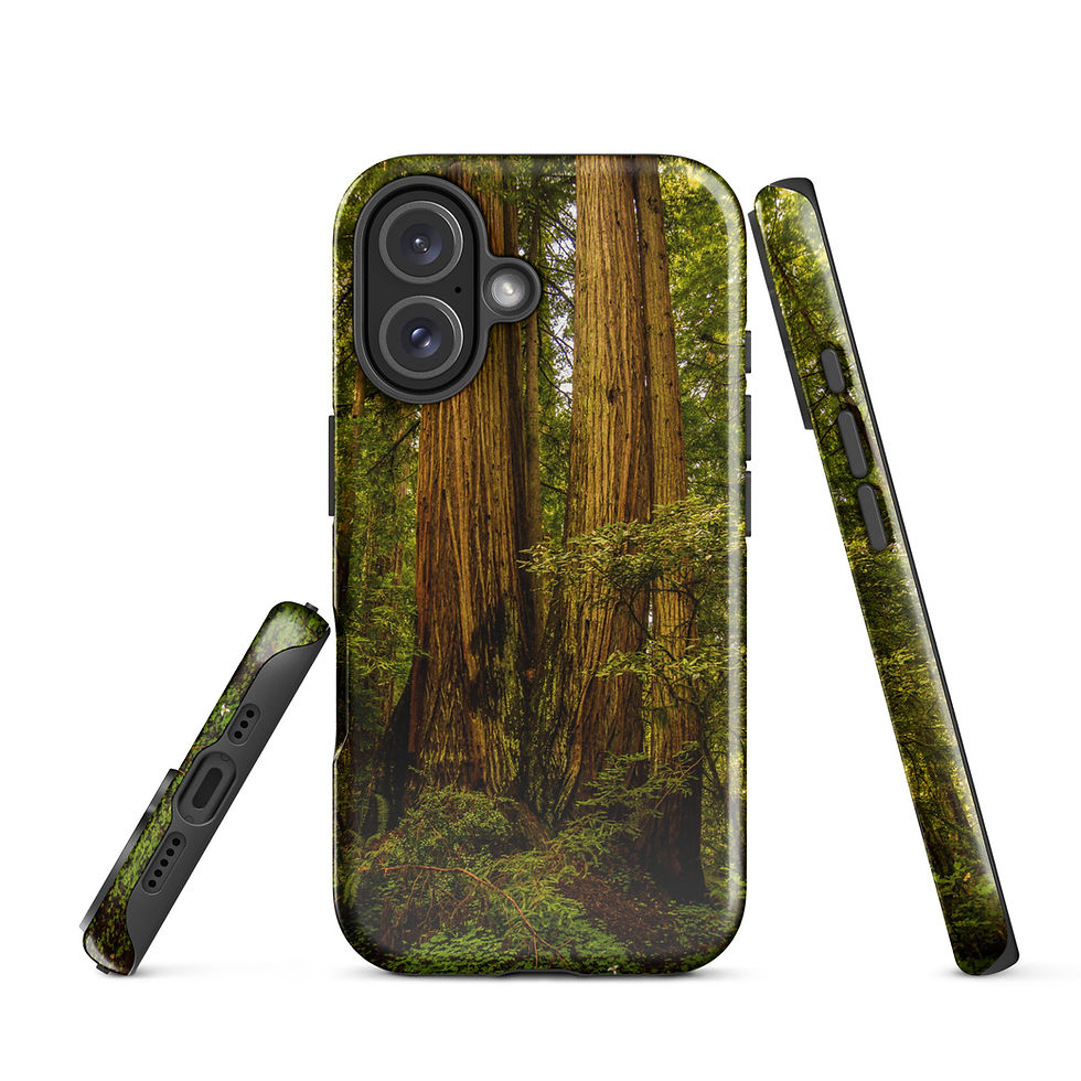 Thumbnail: Oregon Forest Tough Case for iPhone®