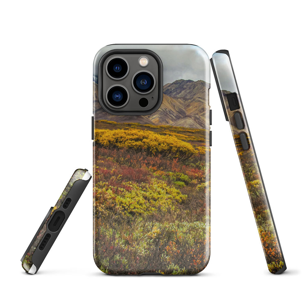Thumbnail: Denali Autumn  Tough Case for iPhone®