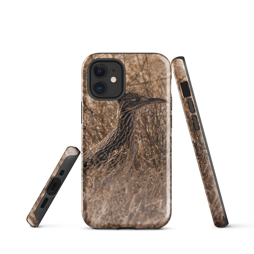 Thumbnail: Roadrunner Tough Case for iPhone®