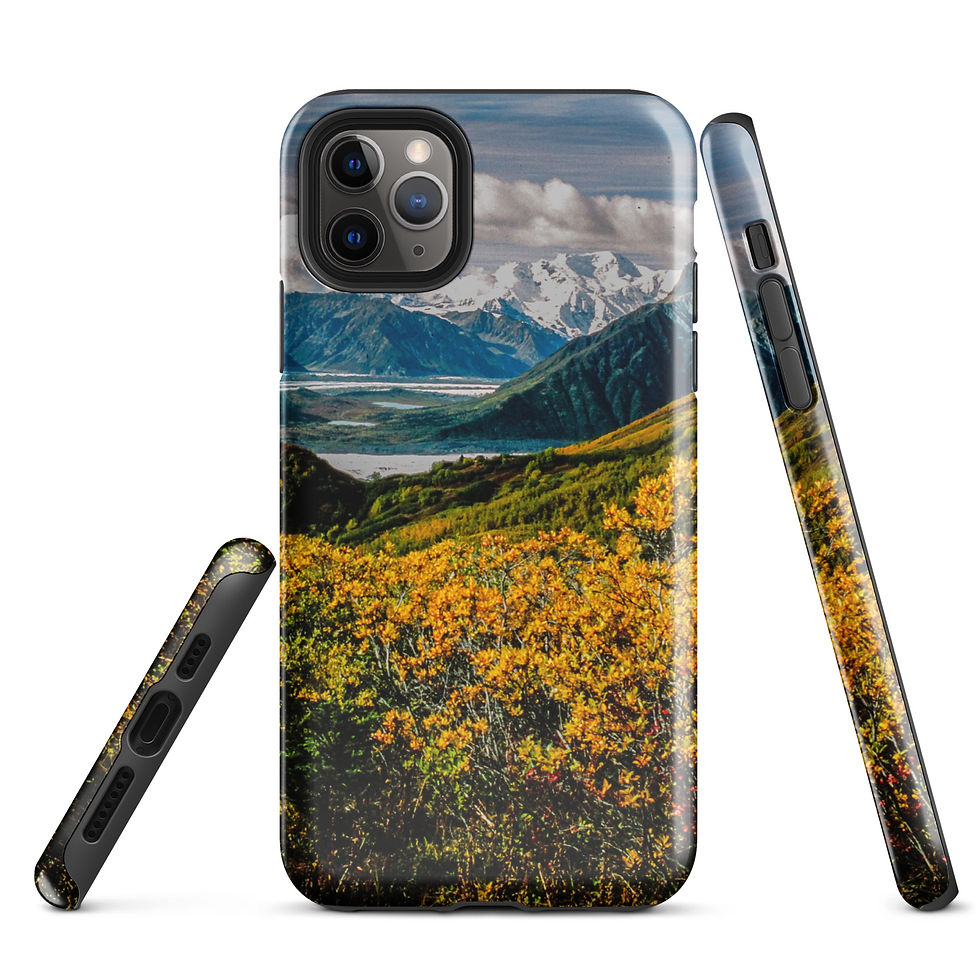 Thumbnail: Bonanza Ridge View Tough Case for iPhone®