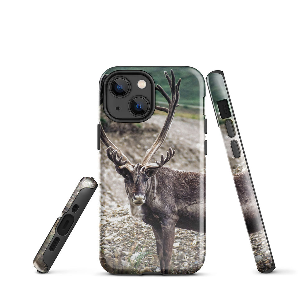 Thumbnail: Caribou Tough Case for iPhone®