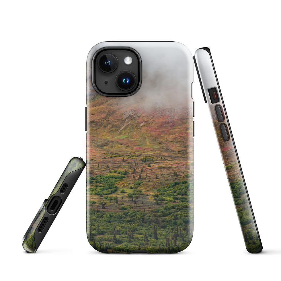 Thumbnail: Denali Highway Dreaming Tough Case for iPhone®