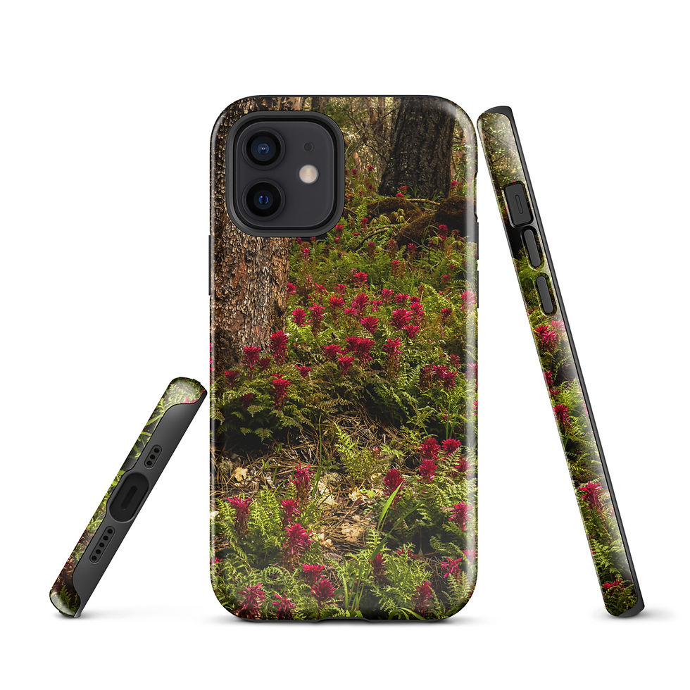 Thumbnail: Cathedral Hills Easter Morning Tough Case for iPhone®