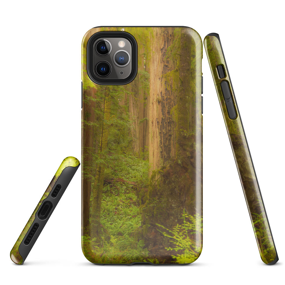 Thumbnail: Misty Oregon Woods Tough Case for iPhone®