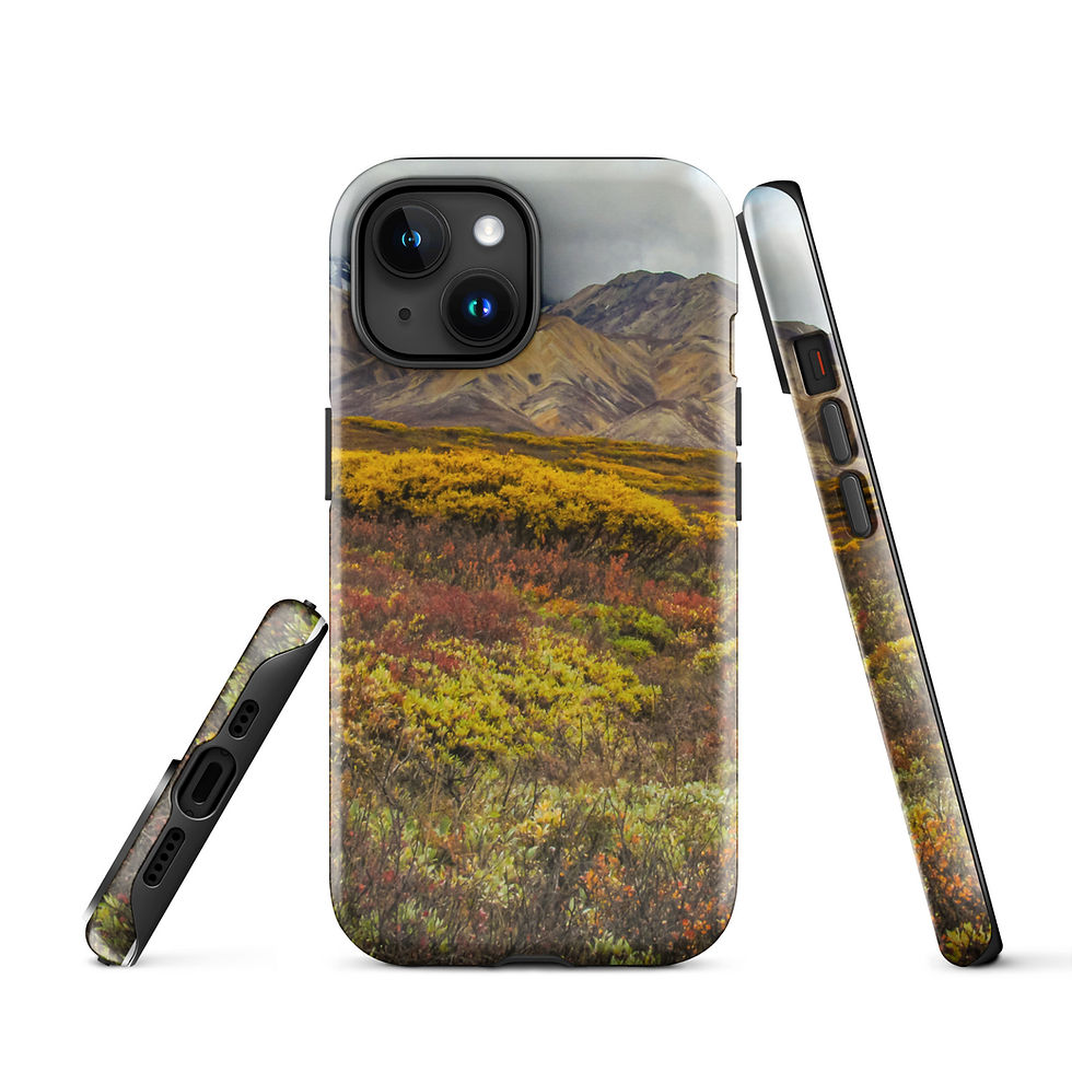 Thumbnail: Denali Autumn  Tough Case for iPhone®