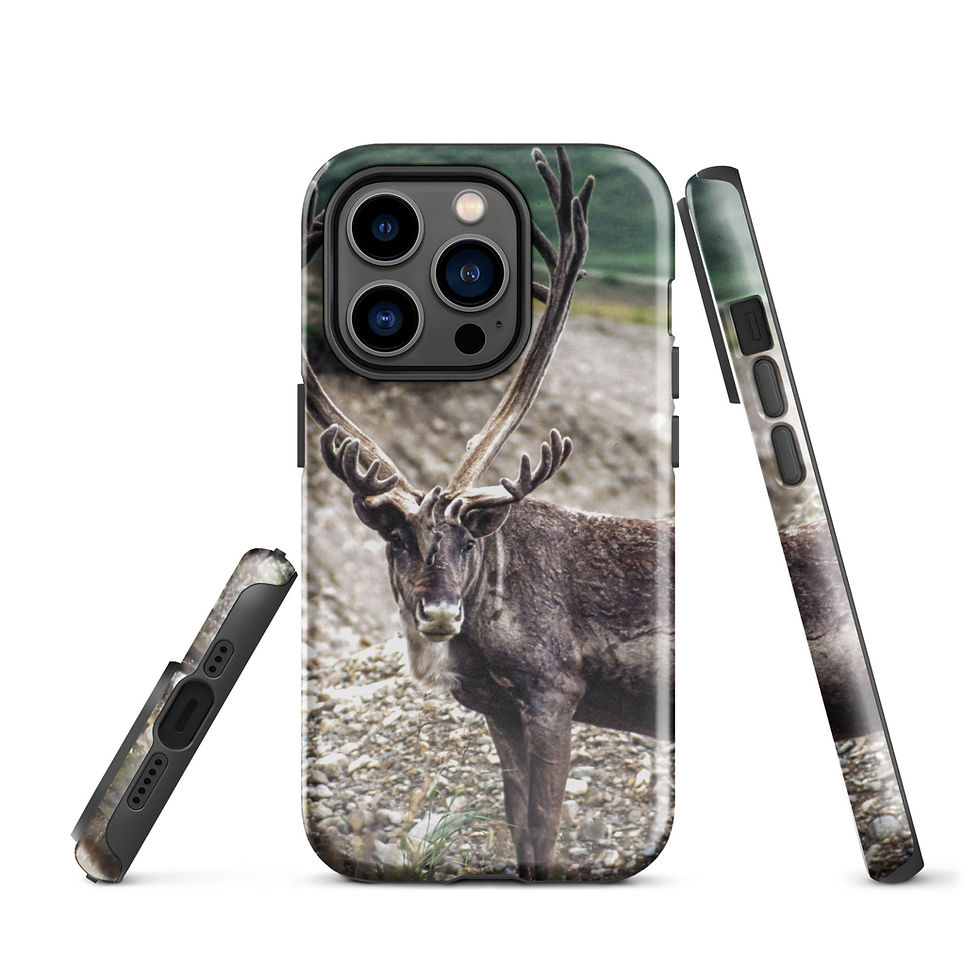 Thumbnail: Caribou Tough Case for iPhone®