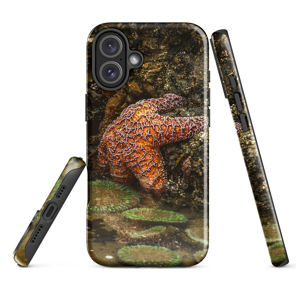 Thumbnail: Ochre Sea Star Tough Case for iPhone®