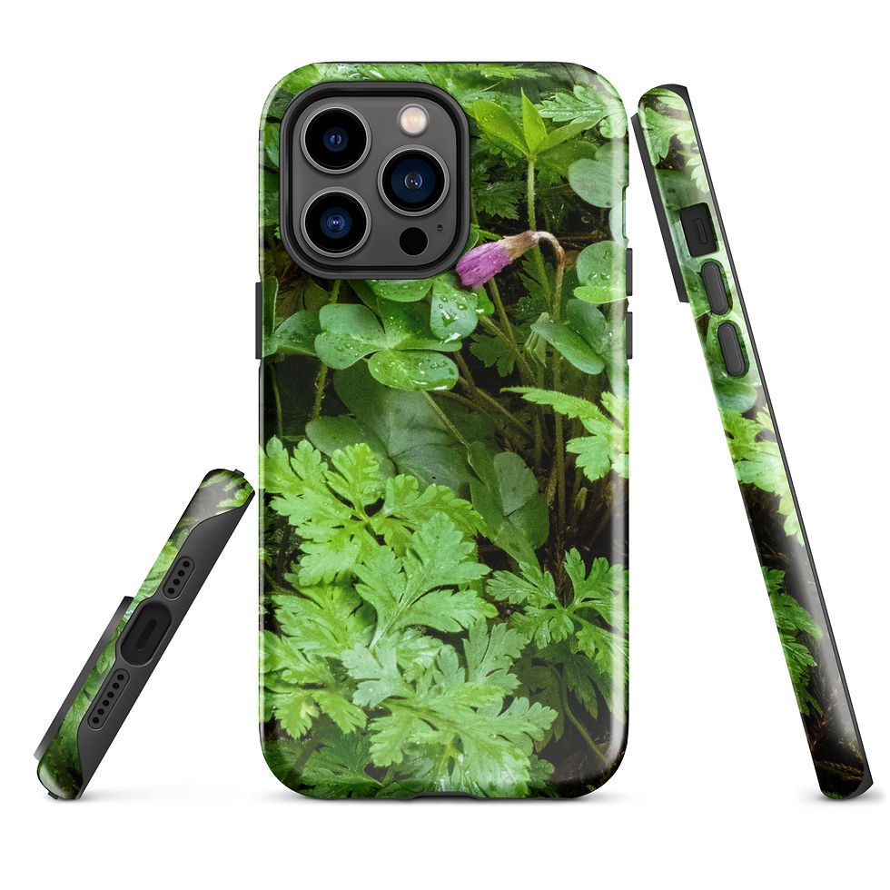 Thumbnail: Redwood Spring Tough Case for iPhone®