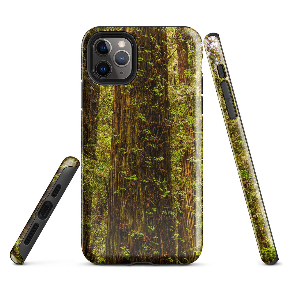 Thumbnail: Redwood Wreathed In Vines Tough Case for iPhone®
