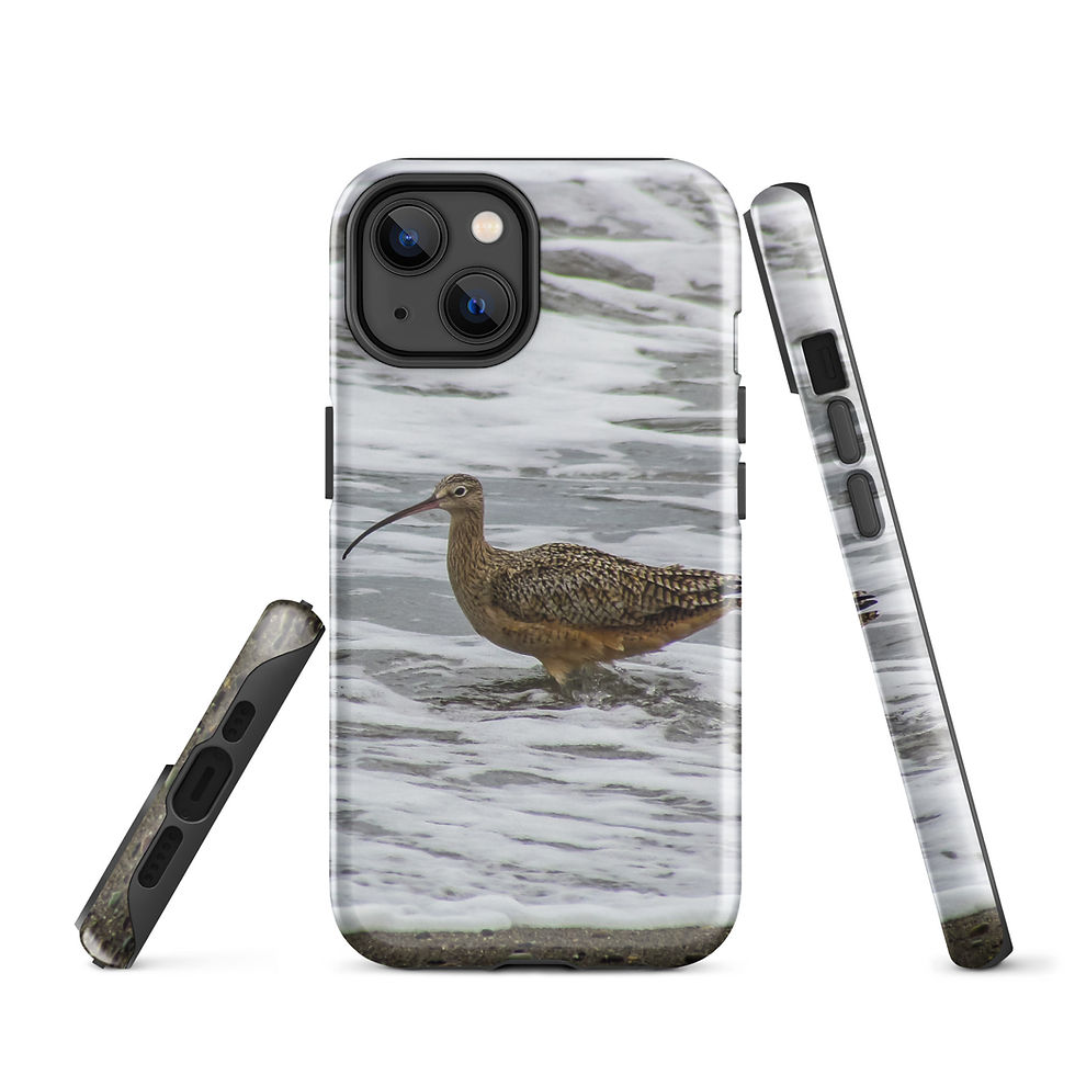 Thumbnail: Whimbrel in the Waves Tough Case for iPhone®