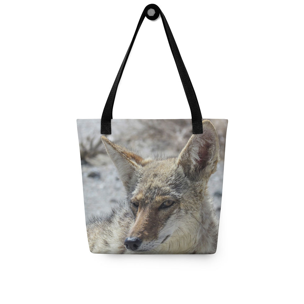 Wile E. Tote bag