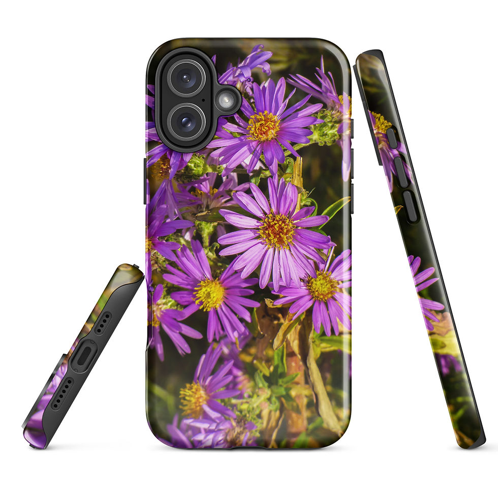 Thumbnail: Purple Asters Tough Case for iPhone®