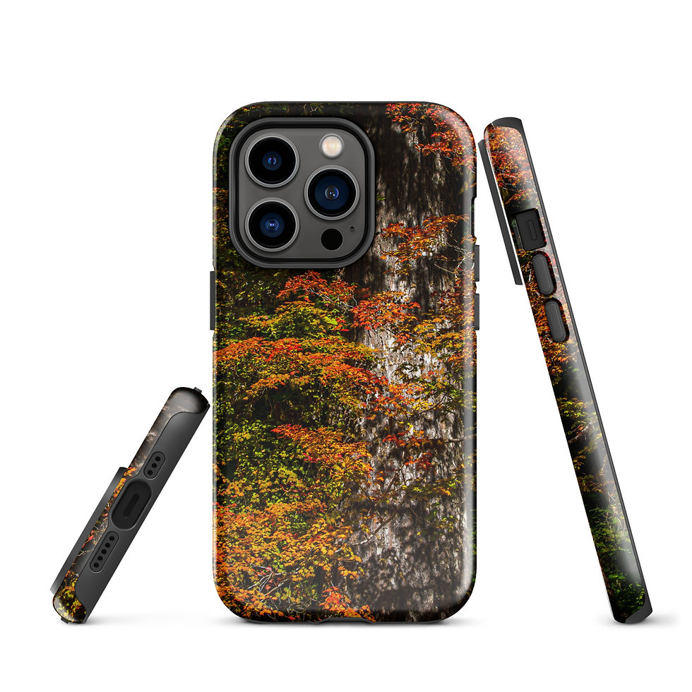Thumbnail: Fall Maple Tough Case for iPhone®