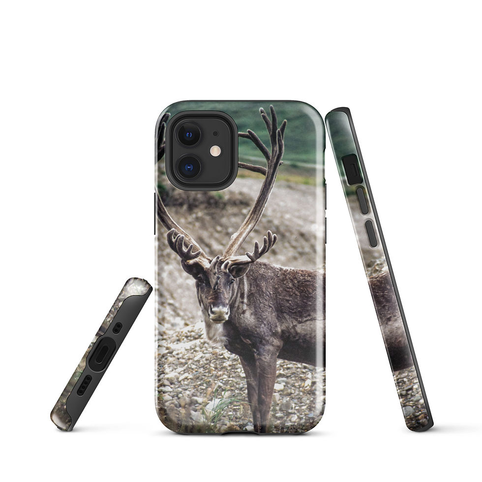 Thumbnail: Caribou Tough Case for iPhone®