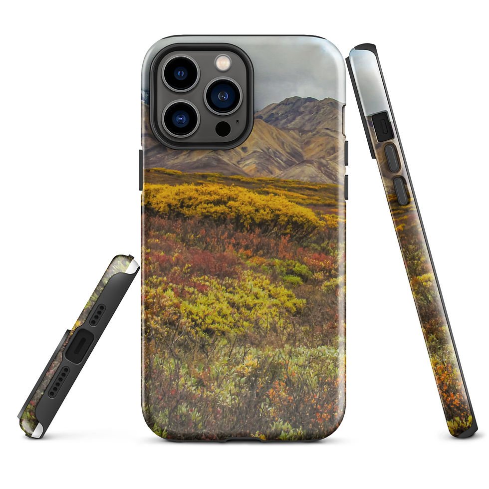 Thumbnail: Denali Autumn  Tough Case for iPhone®
