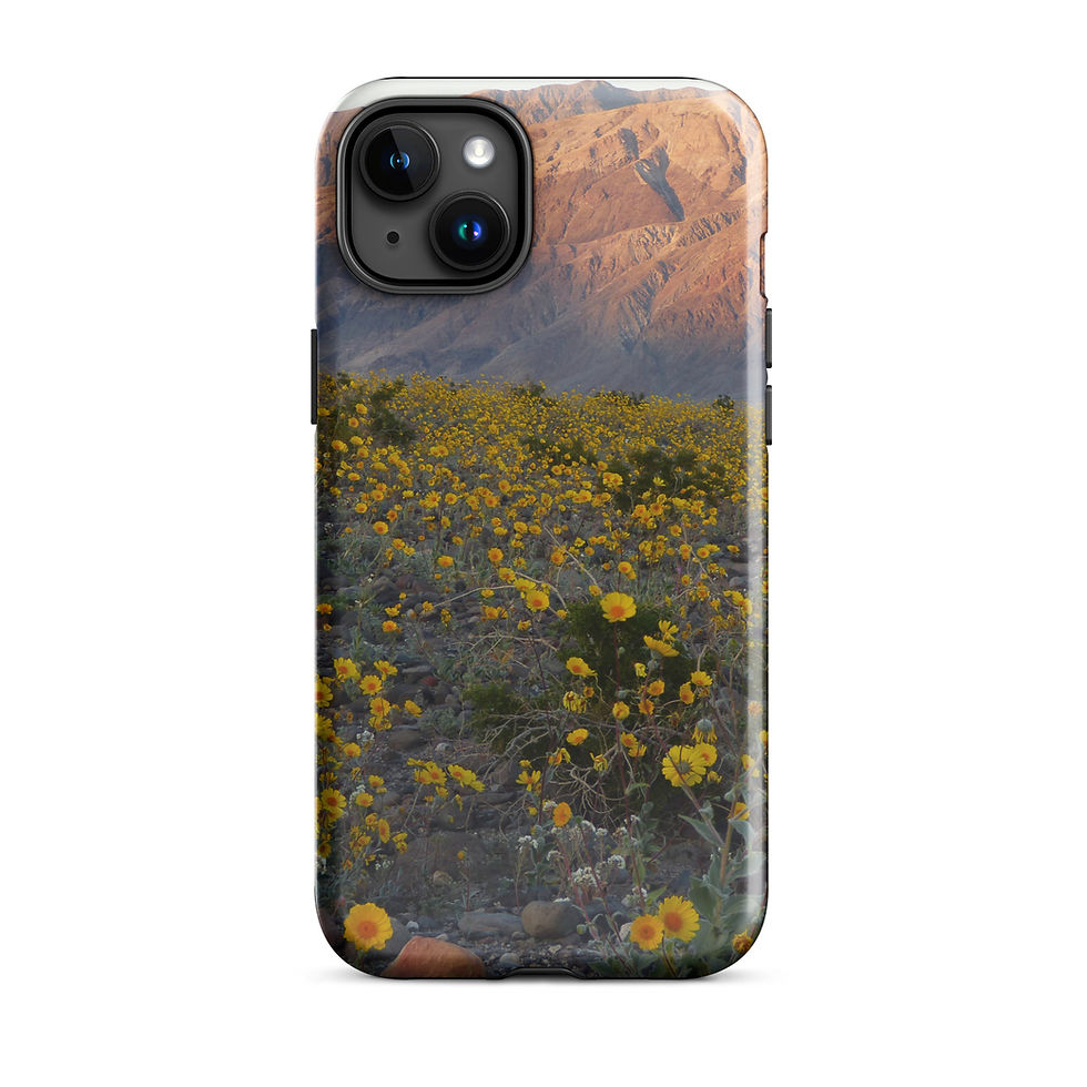 Thumbnail: Desert Gold At Dusk Tough Case for iPhone®