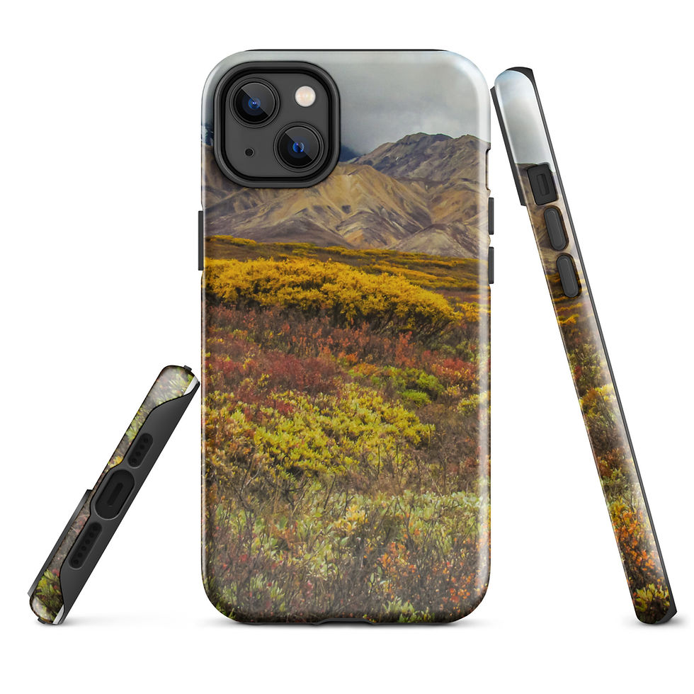 Thumbnail: Denali Autumn  Tough Case for iPhone®