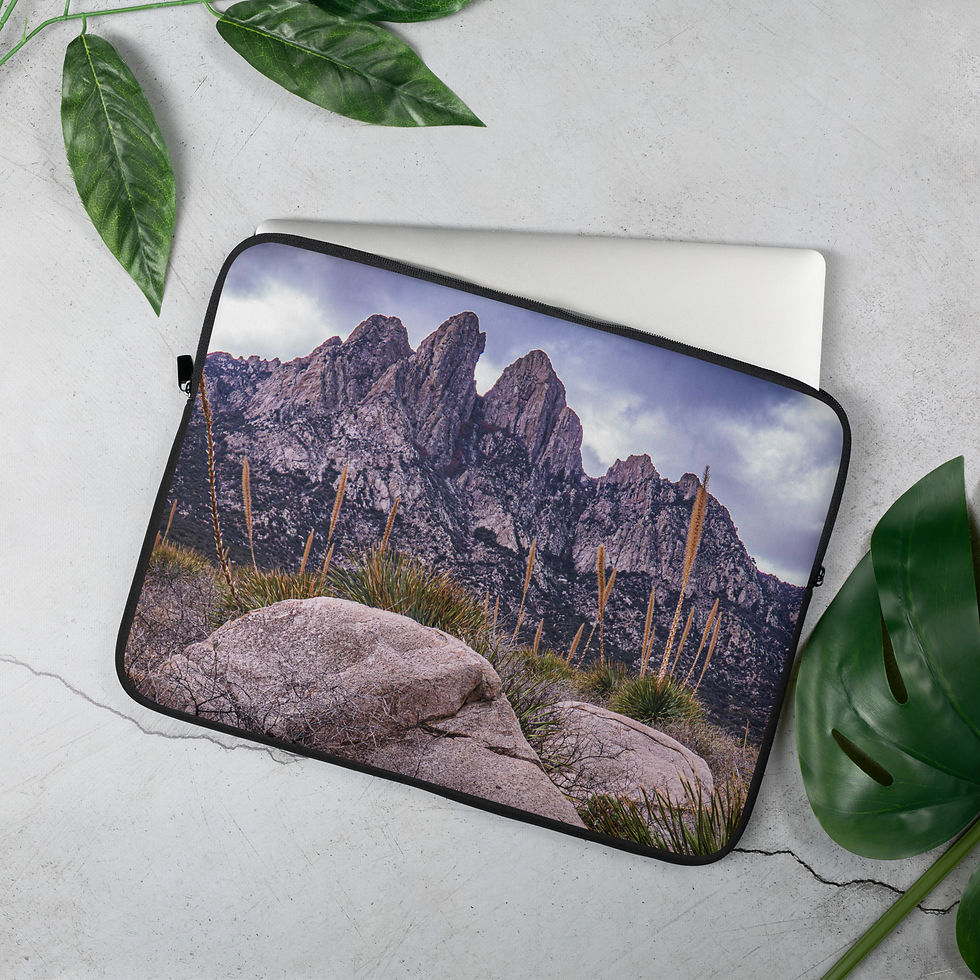 Thumbnail: Organ Mountains Laptop Sleeve