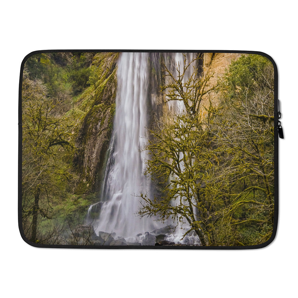Thumbnail: Silver Falls Laptop Sleeve