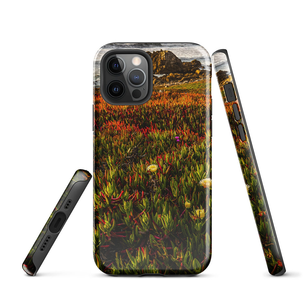 Thumbnail: 17-Mile Drive Tough Case for iPhone®