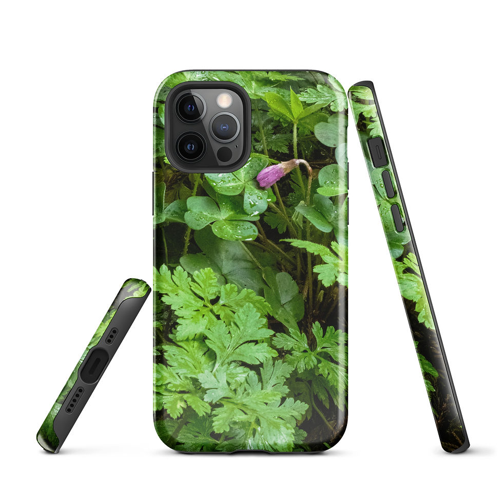 Thumbnail: Redwood Spring Tough Case for iPhone®