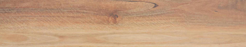 Mountain Spotted Gum