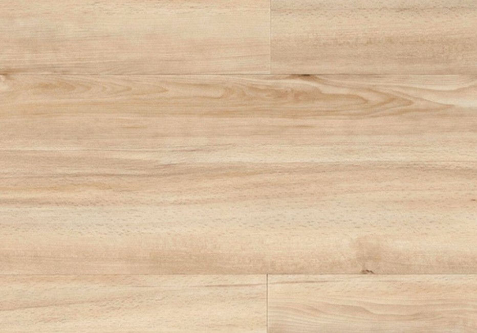 Stringybark 1244