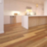 Southern Spotted Gum